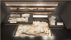 珠溪古鎮(zhèn)展柜制作-中強展柜定制