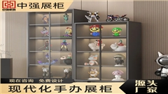 南京中強(qiáng)手辦展柜定制