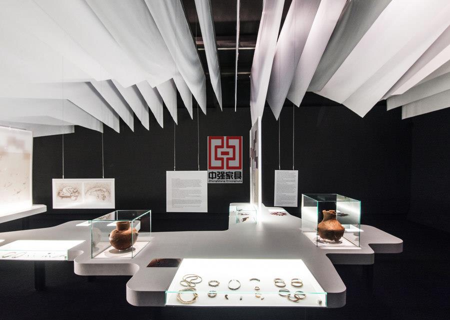 優質博物館展柜定制服務,滿足多樣化需求-中強展柜